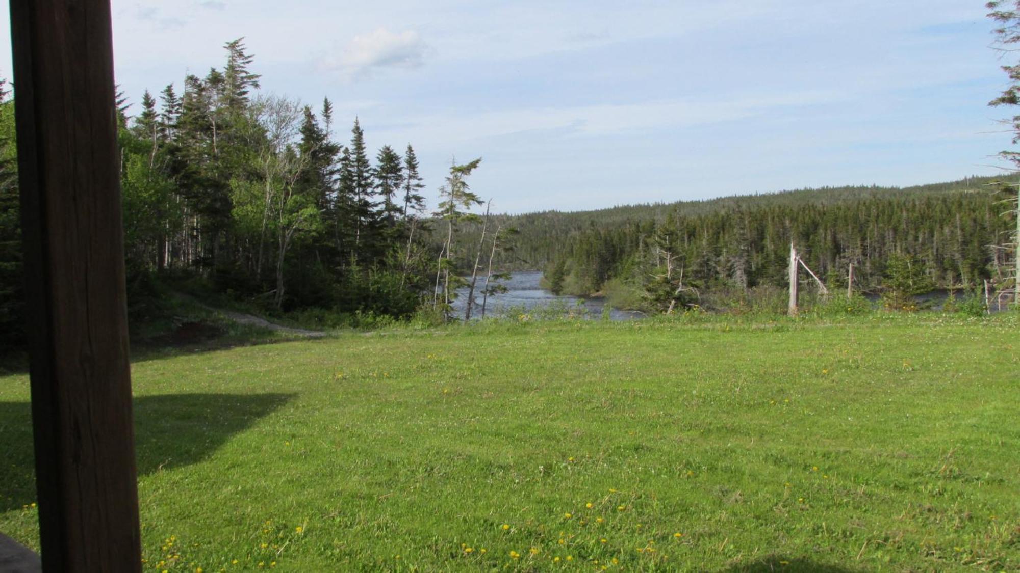Riverside Chalets River of Ponds Luaran gambar