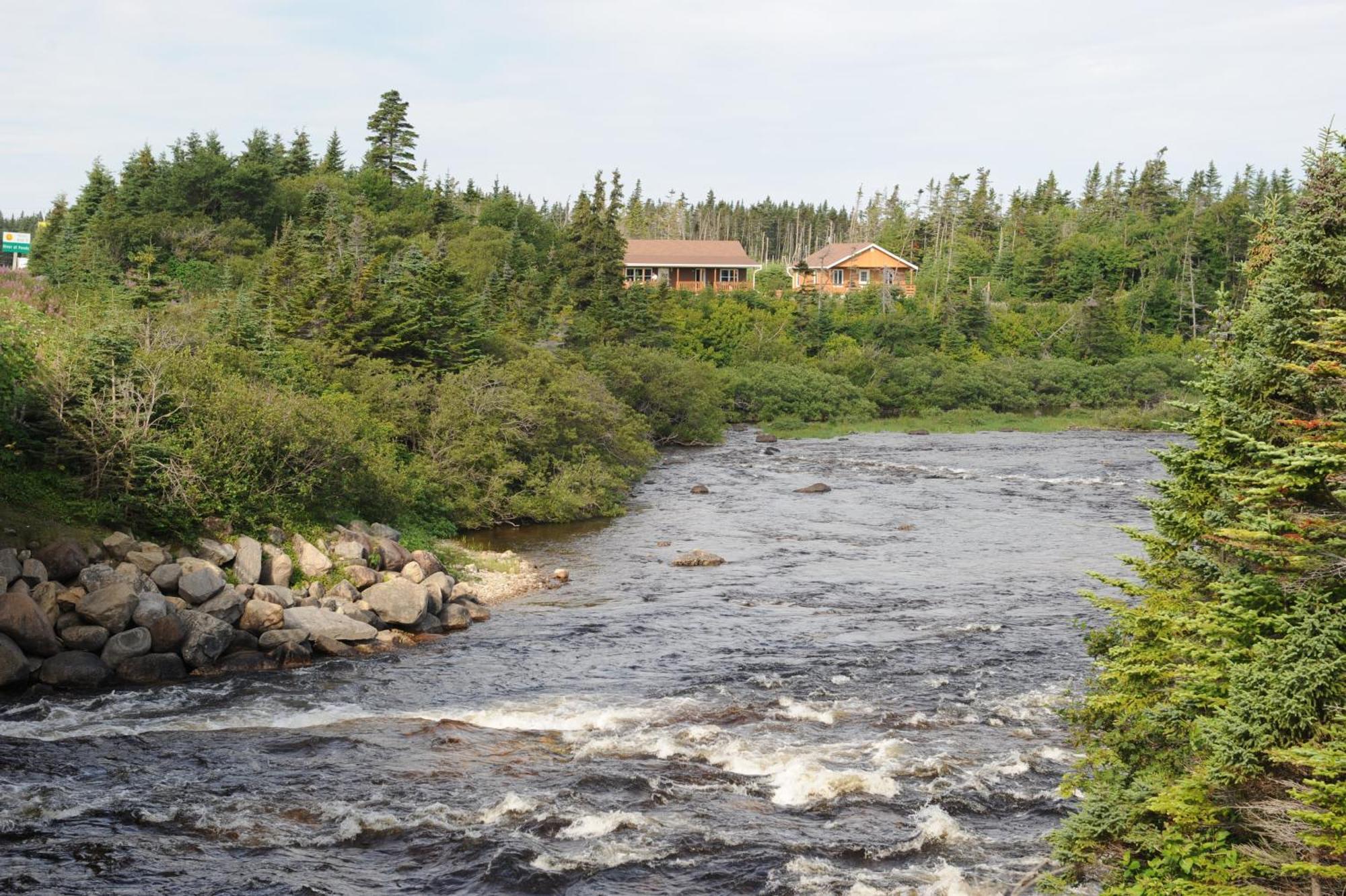 Riverside Chalets River of Ponds Luaran gambar